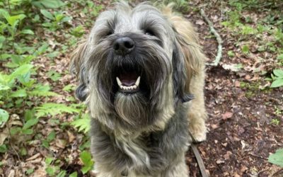 Annie M. – Old Lyme