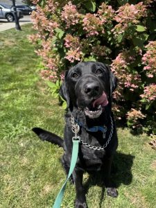 Mary D. – Old Saybrook