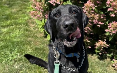 Mary D. – Old Saybrook
