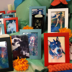day of the dead altar for pets