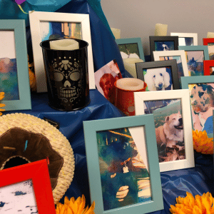 Honoring the Pets We’ve Loved and Lost - day of the dead pet photo