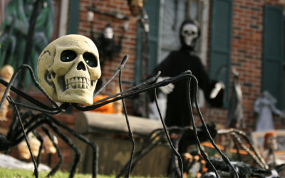 5 Ways to Keep Your Dog Calm During Halloween Walks in the CT Shoreline