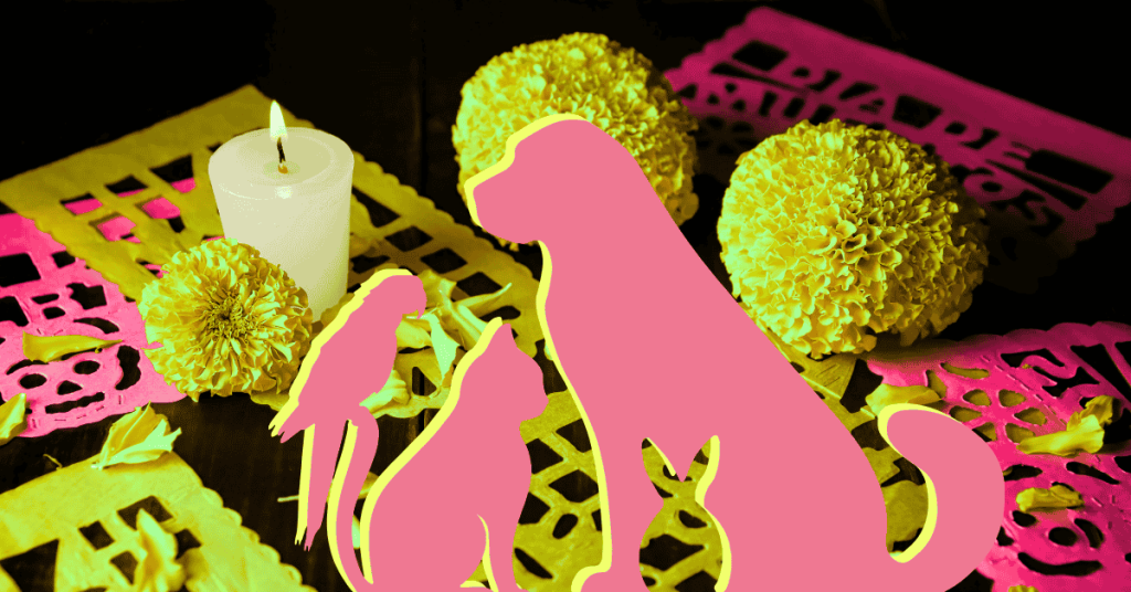 Day of the Dead for Pets - Honoring the Pets We’ve Loved and Lost