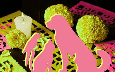 DÃa de los Muertos: Honoring the Pets We’ve Loved and Lost