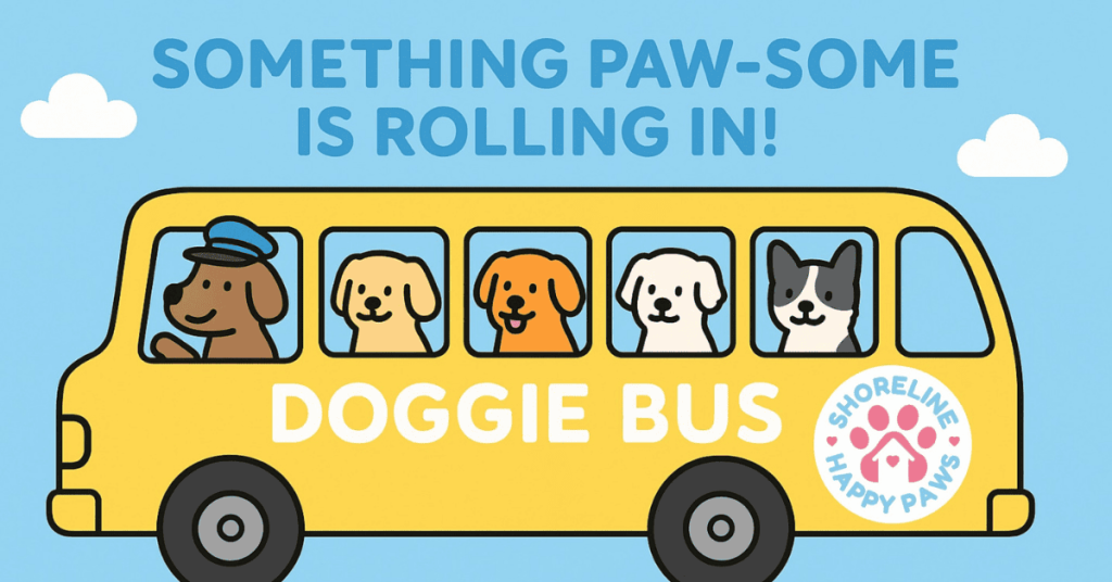 the doggie adventure bus Shoreline Happy Paws