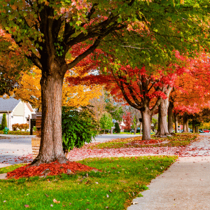 shoreline ct old saybrook neighborhood