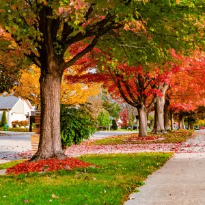 shoreline ct old saybrook neighborhood