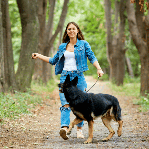 dog walking with Shoreline Happy Paws dog walker 