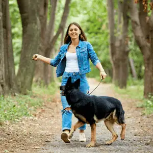 dog walking with Shoreline Happy Paws dog walker 