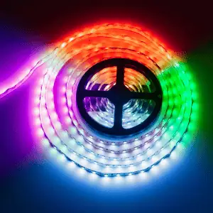 reflective gear dogs old Saybrook, CT