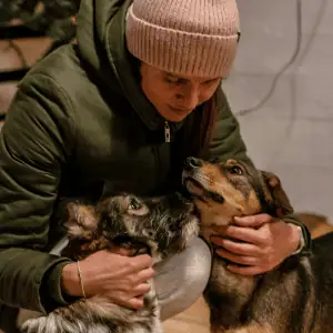 Shoreline Happy Paws dog walker with two dogs in Old Saybrook, CT