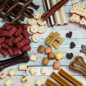 pet supplies Old Saybrook, CT