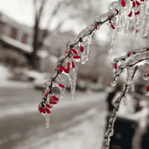 old saybrook, ct ice storm