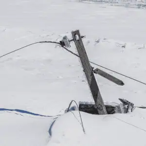 old saybrook, ct snow storm - Keeping Pets Warm During Power Outages on the CT Shoreline