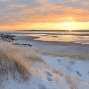 old saybrook, CT dog walking spot
