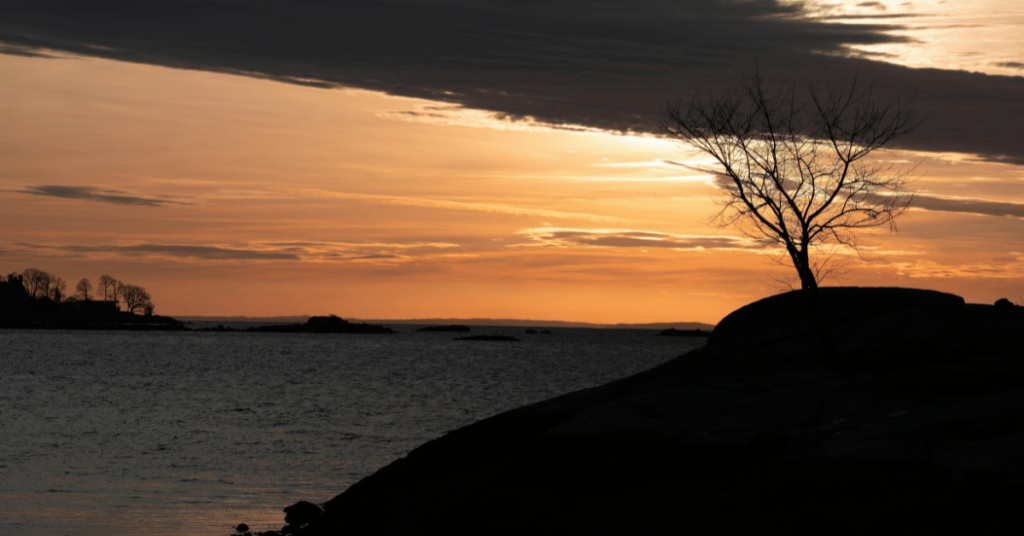 ct shoreline sunset Caring for Pets, Community, and the CT Shoreline