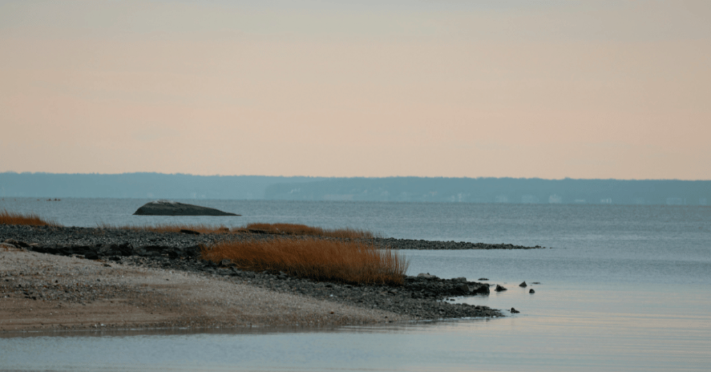 coastal connecticut old saybrook