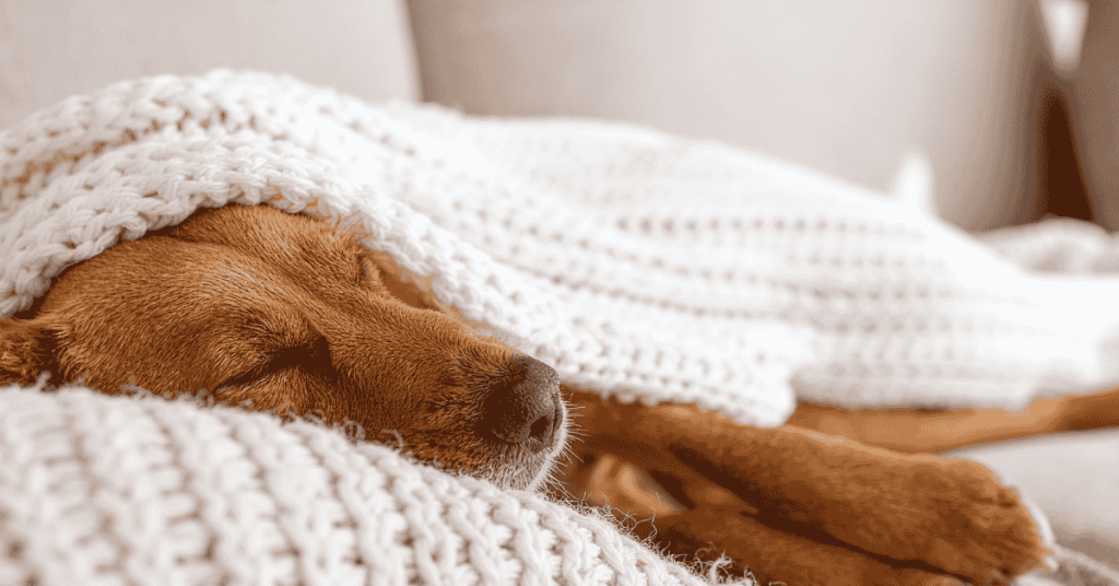 Does your CT Shoreline have cabin fever?