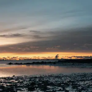 CT Shoreline at sunset Plan the Perfect Day for Your Dog on the CT Shoreline