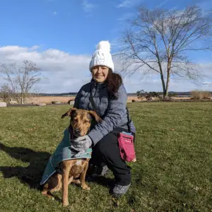 Nervous about hiring a dog walker? Shoreline Happy Paws dog walker in Old Saybrook 