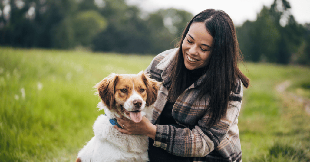 What Does Love Feel Like to Our Dogs? (and How to Show It) 3 dog with dog walker in East Lyme, CT What Does Love Feel Like to Our Dogs?