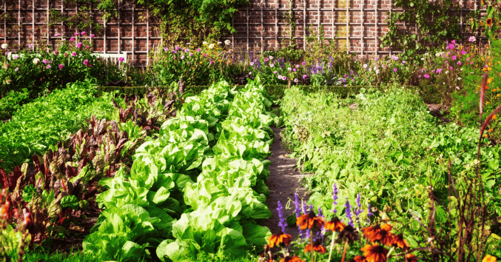 Planting a Pet-Safe Garden on the Connecticut Shoreline