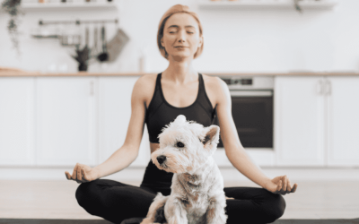 5 Things Only True Dog Lovers Understand (Especially on the CT Shoreline)