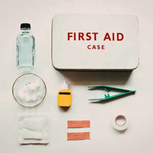 The Importance of Pet First Aid and CPR on the CT Shoreline