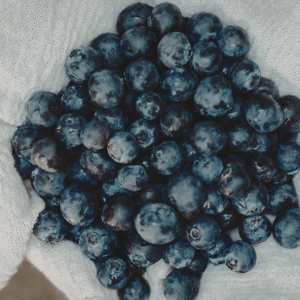 5 Treat Swaps for Dogs on the CT Shoreline: blueberries