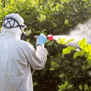pest control company in the CT Shoreline