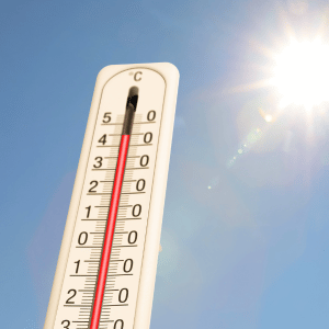 high temperatures in CT Shoreline dog walking