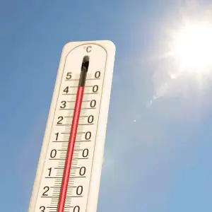 high temperatures in CT Shoreline dog walking