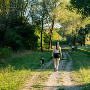 Shoreline Happy Paws dog walker in a shaded path in Old saybrook