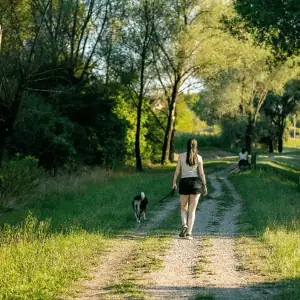 Shoreline Happy Paws dog walker in a shaded path in Old saybrook