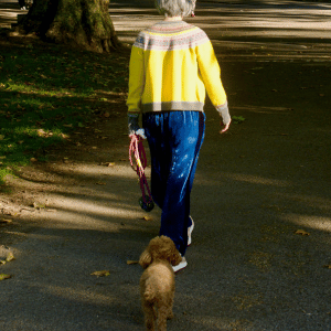 dog with dog walker in the shade during hot dog walk in the CT Shoreline