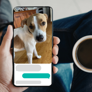 real-time visit updates Shoreline Happy Paws dog walker
