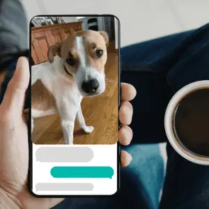 real-time visit updates Shoreline Happy Paws dog walker