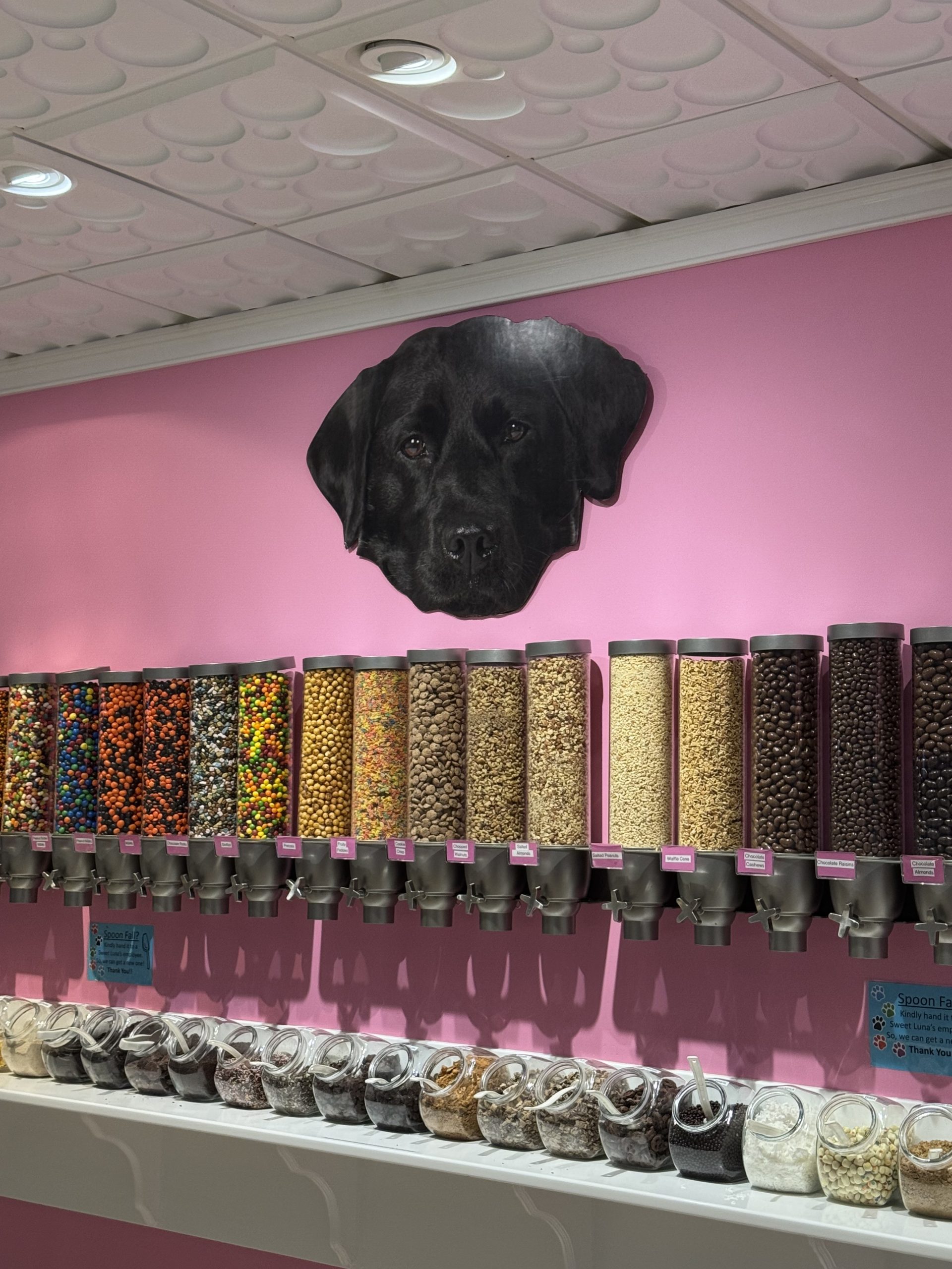 Sweet Luna's toppings bar with black Lab silhouette - Old Saybrook ice cream shop