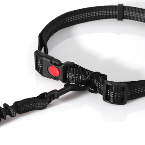 hands-free leash for dogs