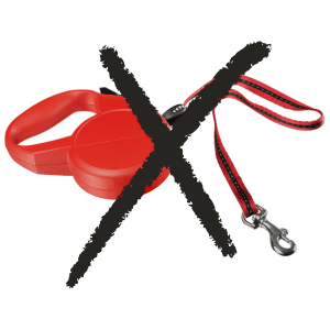 retractable leash dangers
