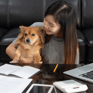 woman working from home in Old Saybrook with a dog on her lap