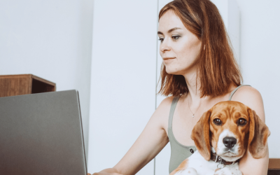 Does My Dog Need a Dog Walker if I Work from Home?