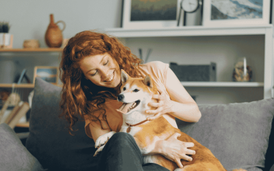 Why We Reserve Travel Pet Care for Recurring Dog Walking Clients