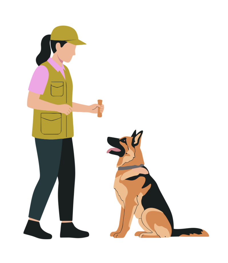 Vetted trained team icon