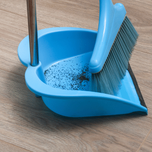 tidying home cat sitter CT SHoreline
