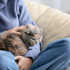 cuddling a cat Shoreline Happy Paws