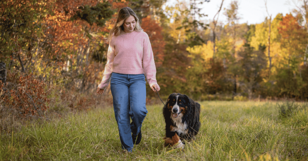 dog on a walk with Shoreline Happy Paws dog walker in the CT Shoreline