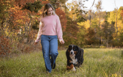 5 Reasons a Dog Walk Is More Than Just a Bathroom Break